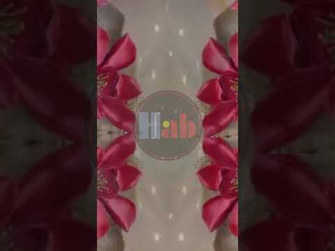 Designer Wallpaper
