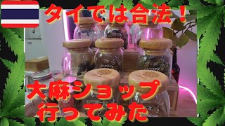 【タイで大麻解禁】バンコクの大麻ショップに行ってみた!