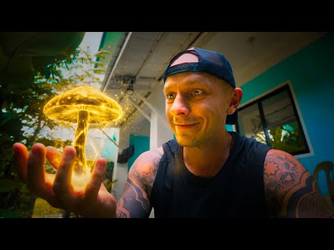 I only have one Christmas Eve dish: MAGICAL mushrooms! 🤩