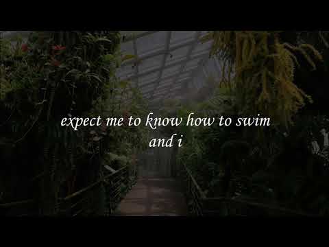 jungle - tash sultana (lyrics)