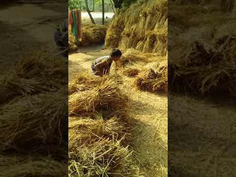 download lagu mp3 mp4 Https Www Wishesyou Gq, download lagu Https Www Wishesyou Gq gratis, unduh video klip Https Www Wishesyou Gq