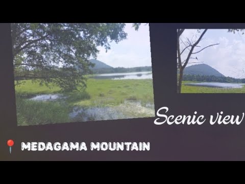 When history meets Nature