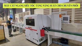 Máy cắt bỏ mắt gỗ cnc | full chuyền máy cắt ngang + băng tải phân loại phôi | Woodmaster