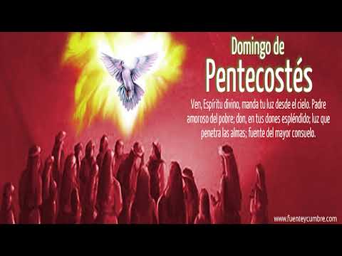 Misa Domingo | 24 de mayo 2026 | Basílica Paysandú