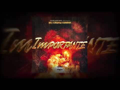 RYCCI - ''IMPORTANTE'' FT. TRESCKOW, ELEKAERRE PROD BY RYCCI