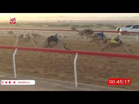  ش 7 (شاهين) لـ جمعة محمد بن كراز السبوسي 2:18 ، شارة صندوق حلفه 2026/05/31 فطامين الجبيب