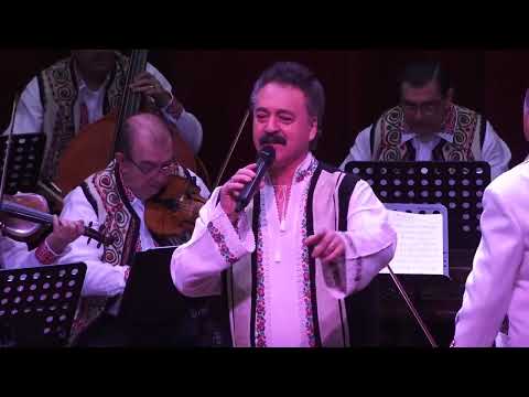 Mitică TAVĂ - Aș vinde oile mele