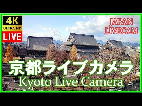 Kyoto LIVE CAMERA 京都 東本願寺 森信三郎商舗から生中継 即時影像
