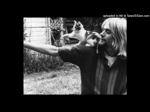 Smells Like Teen Spirit (Kosmon Edit)