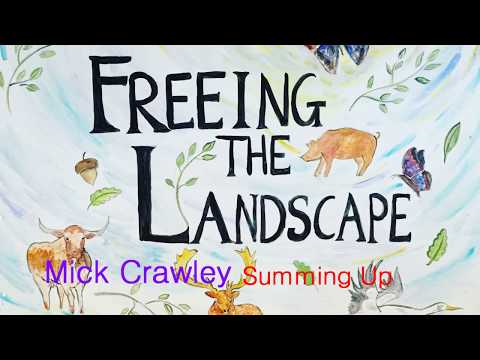 Knepp "Freeing the Landscape": Vera Talks - Prof. Mick Crawley