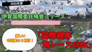 2026年度「伊賀国際親善鳩レース600Kレース」ハイライト！