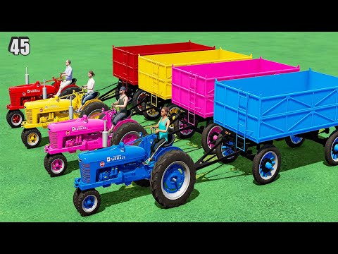 TRANSPORTING & HARVESTING CORN w/ 3 WHEELS CASE TRACTOR & COLORED TRAILER! MAKING CORN CHAFF! #45