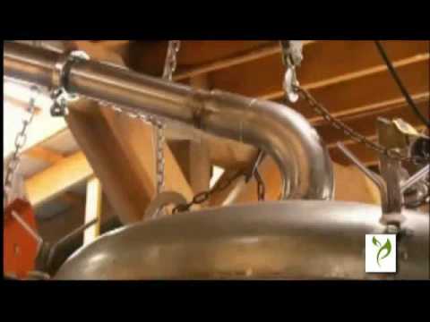 Cinnamomum Camphora Camphor Essential Oil distillation