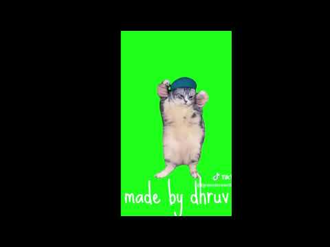 cat dance musiced by Dhruv dixit created by dhruv dixit edited by dhruv