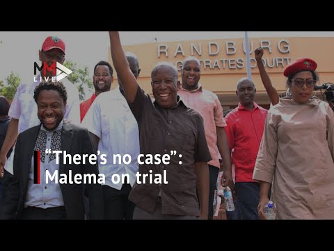 Contradictions in testimony emerge as Malema &amp; Ndlozi assault trial continues