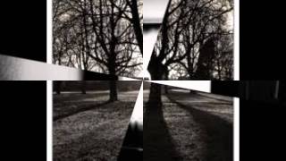 Whitesnake - Standing In The Shadow