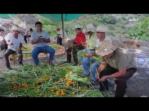 Cuando una Lengua Indígena Muere - Hñähñu