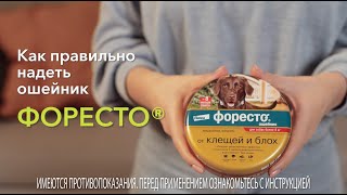 Форесто Ошейник для собак