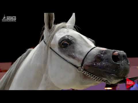 N.59 EUZONA - Paris 2017 - Senior Mares (Class CM3B)