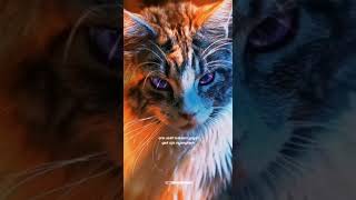 Download lagu story wa keren mp3