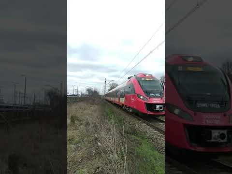 Trens poloneses Transporte terrestre urbano. SKM Warszawa #shorts #wotmyvideos