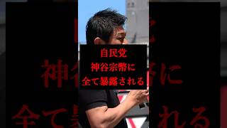 【神谷宗幣】自民党の嘘を完全に暴露する！何でもできると思うなよ！【大阪街宣/参政党】