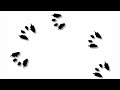 Remastered Frog Scene From Baby Dolittle Neighborhood Animals 2001