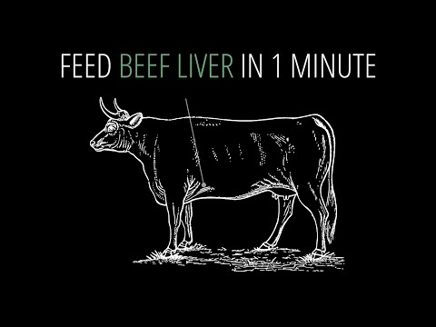 Feed Beef Liver in 1 Minute