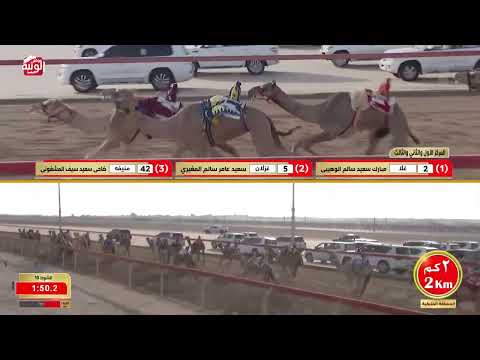  ش 10 (عوايد) لـ سهيل حمود بن علي الوهيبي 4:24:51 ، شارة الديوان 2026/10/04 حقايق الوثبة
