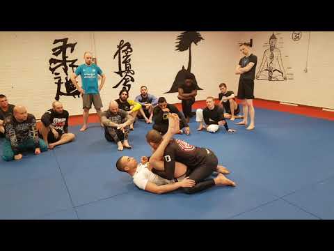 BJJ Longevity Part 1: Proper Posture and Spine Alignement