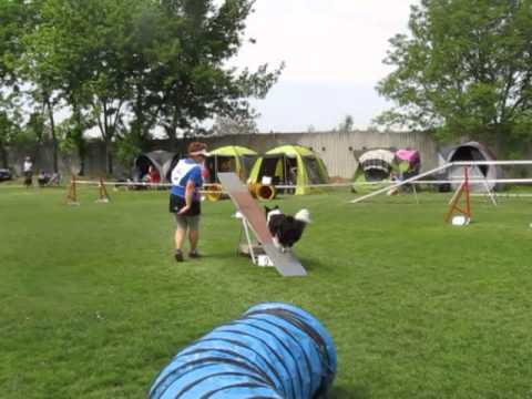 Nagy Veronika és Molly Sintava Cup 2013 089