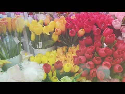 the beautiful flowers in Sabah