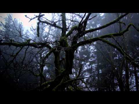 Schauriges Neujahr (1.1.2016)