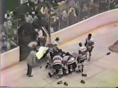 1986 IHL Turner Cup Finals - Game 3