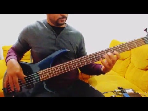 Axé no Baixo - Baixo Cover - Adauto Bass