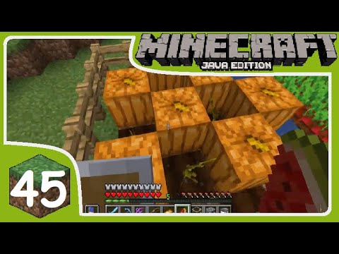 Minecraft Vanilla Survival Ep 45: Farm di Zucche e Meloni!