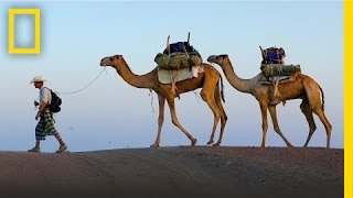 Around the World in Seven Years: Paul Salopek