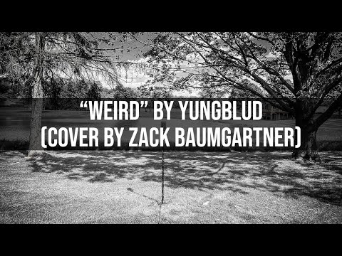 Weird by YUNGBLUD (cover by Zack Baumgartner)