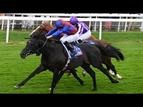 LOS ANGELES wins 2024 Sky Bet Great Voltigeur Stakes (G2)