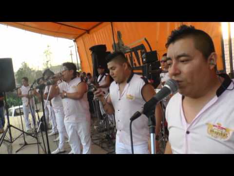 MIX BOLERO-1-LOS CLAVELES DE LA CUMBIA-ESAUD RECORD