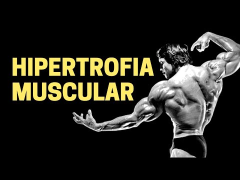Physiology of Muscle Hypertrophy - Human Physiology