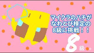 【自作アニメ】9歳の息子が描いた「マイクラのハチ」が縄跳び検定に挑戦！