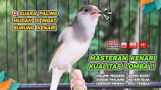 Download lagu Kenari GACOR NGEREK‼️ Masteran Kenari PAUD dan Pancingan Kenari MACET BUNYI dan Betina NGIWIR - 242 mp3