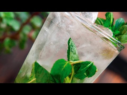 Tragos: Gin on gin julep
