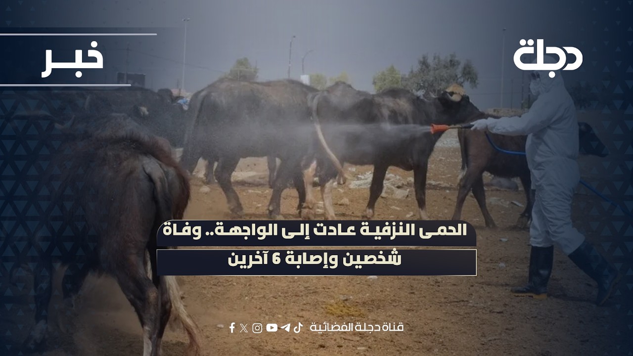 فيديو | الحمى النزفية عادت إلى الواجهة.. وفاة شخصين وإصابة 6 آخرين