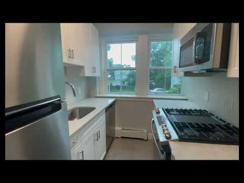 233 Laf - Video 2 of 2