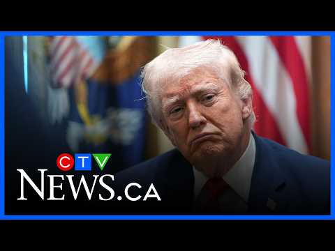 トランプ氏、NATO同盟国への最新の非難の後「必要な支援を受けることに必死」と政治アナリスト (Trump ‘desperate to get the help he needs’ after latest rant on NATO allies, political analyst says)