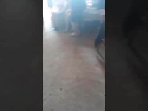 Mirze Lenkeranli Dostum 2018