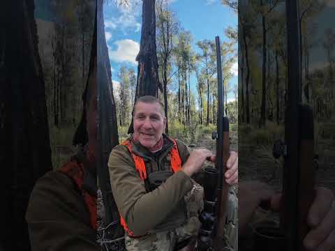 Goat Hunting Techniques #2 | Ambush Hunting for Feral Goats | Mark Van Den Boogaart