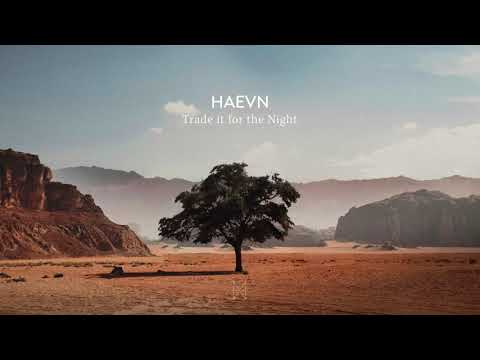 HAEVN - Trade It For The Night (Lyric Video) with Neco Novellas